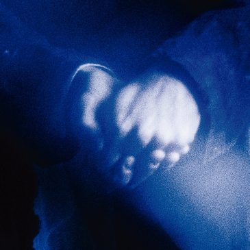 Everyone‘s trying so hard, it breaks my heart